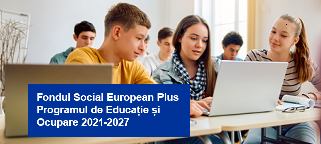 Adaptarea învățământului profesional și tehnic la piața muncii - 311334